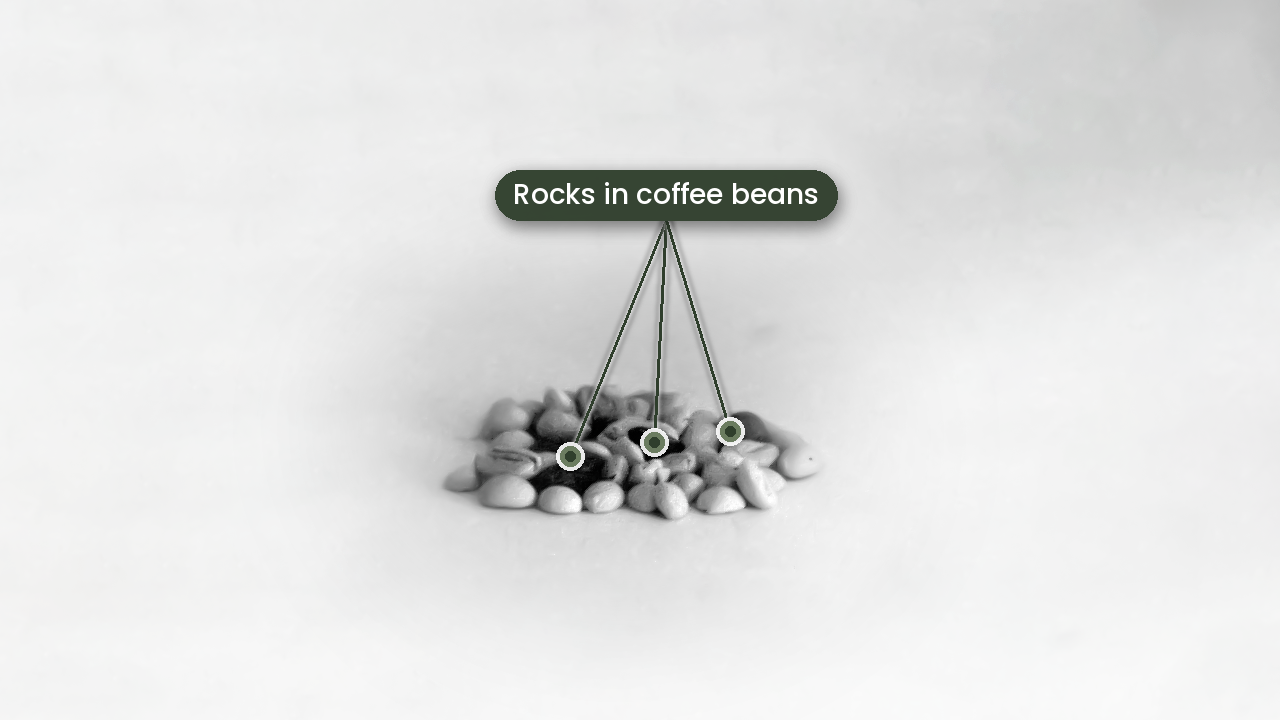 Coffee beans, infrared, with rocks highlighted